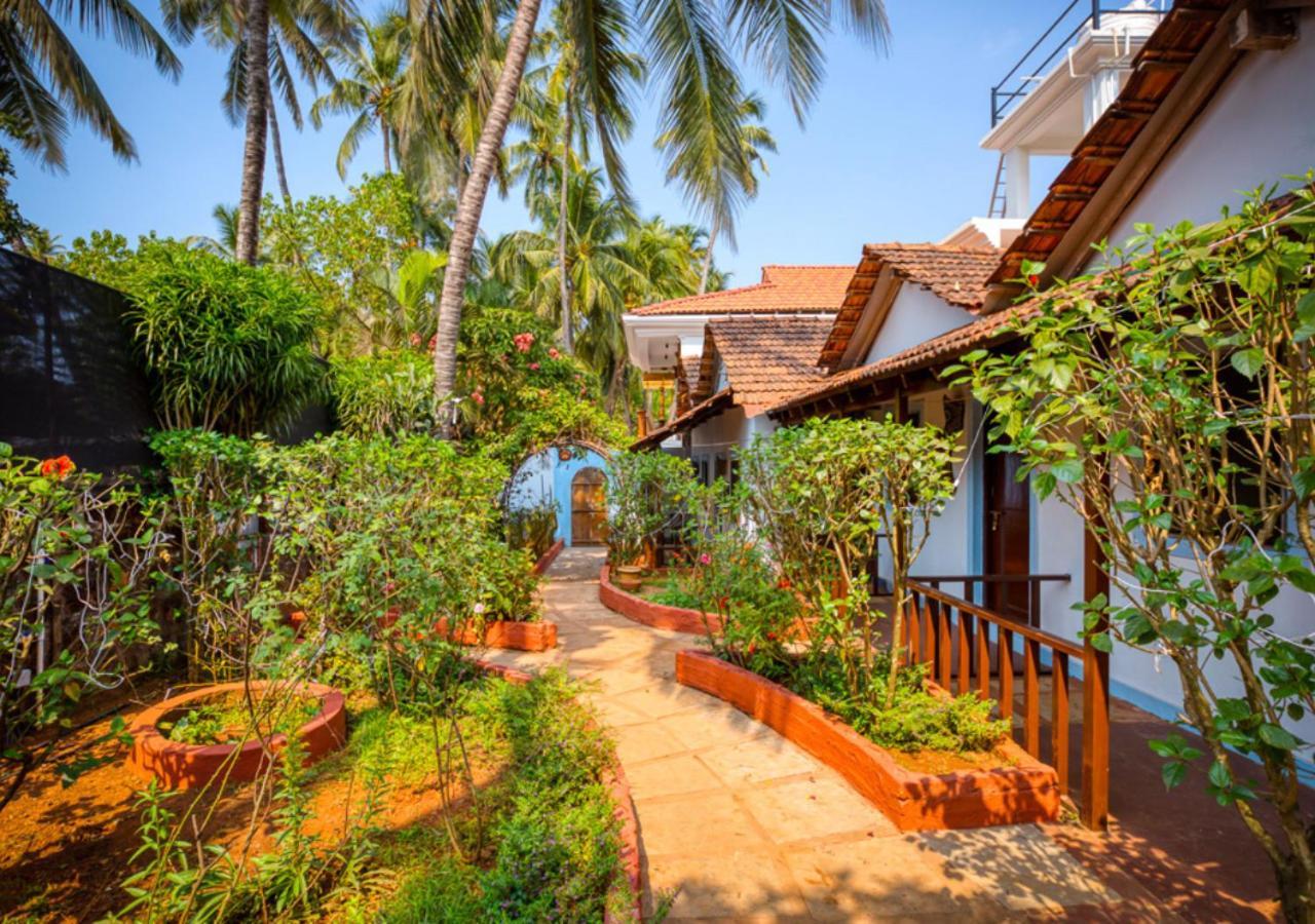 The Funky Monkey Hostel Anjuna Exteriör bild
